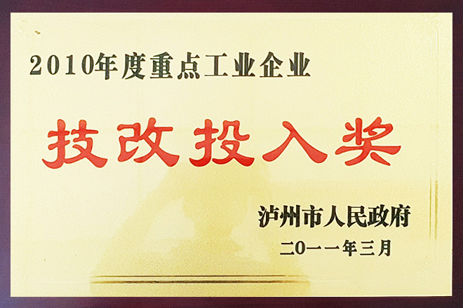 2010年度重点工业企业技改投入奖