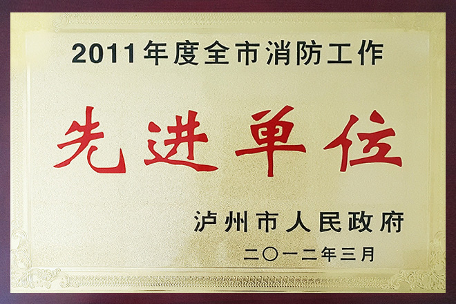 2011年度全市消防工作先进单位